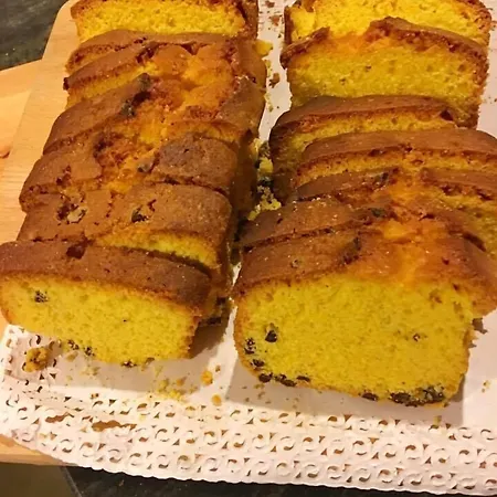 Raffaello Hotel Urbino